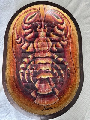 Vintage Mexican Folk Art Hand Carved Painted Wooden Dough Bowl Tray 27 x18 x3 