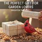 Metal Bird Sculptures 6 PCS Color Painted Vivid 2D Outdoor Garden Decor