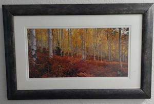 John Richter Aspen & Fern Signed Autographed 12x24