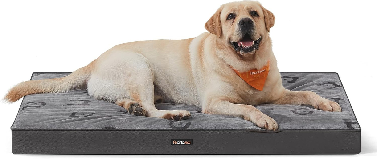 Cuccia per Cani Ortopedica in Gommapiuma Ondulata con Maniglia - Comfort Top