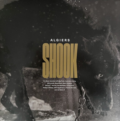 Algiers - Shook (2xLP, Album) (Mint (M)) - 3471269967