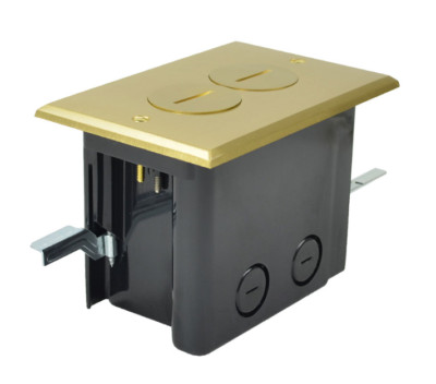 New - Allied Moulded FB-2 Duplex Receptacle, 1-Gang, Floor Box Assy, Brass Cover