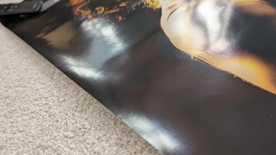 Póster oficial Strikeforce Ronda Rousey vs Miesha Tate tamaño completo UFC MMA WWE Foto 4 de 4