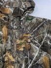 Bild 4 von 17