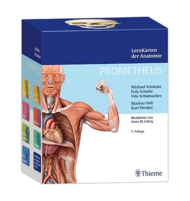 PROMETHEUS LernKarten der Anatomie Schünke, Michael, Erik Schulte und Udo 414061