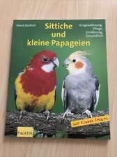 Sittiche und kleine Papageien￼