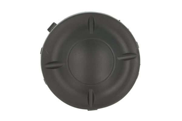 Nebelscheinwerfer Blende Links FüR Murano II Z51 10.08-09.14-image