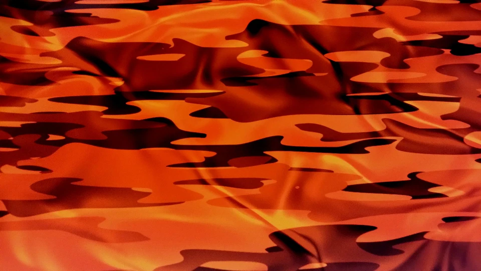 CAMOUFLAGE VINYL DECAL 48" x 15" TRUCK CAMO TREE PRINT DUCK CAMO ORANGE - Image 2 of 4