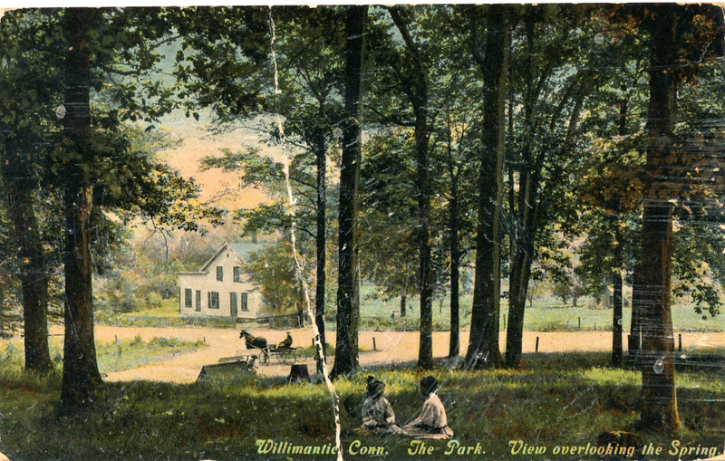 WILLIMANTIC, CONN. THE PARK. VIEW OVERLOOKING THE SPRING. CT. AMSTON, CONN.