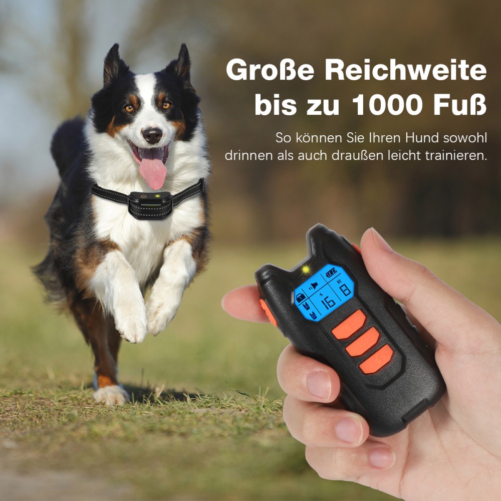 Bild 3 von 18