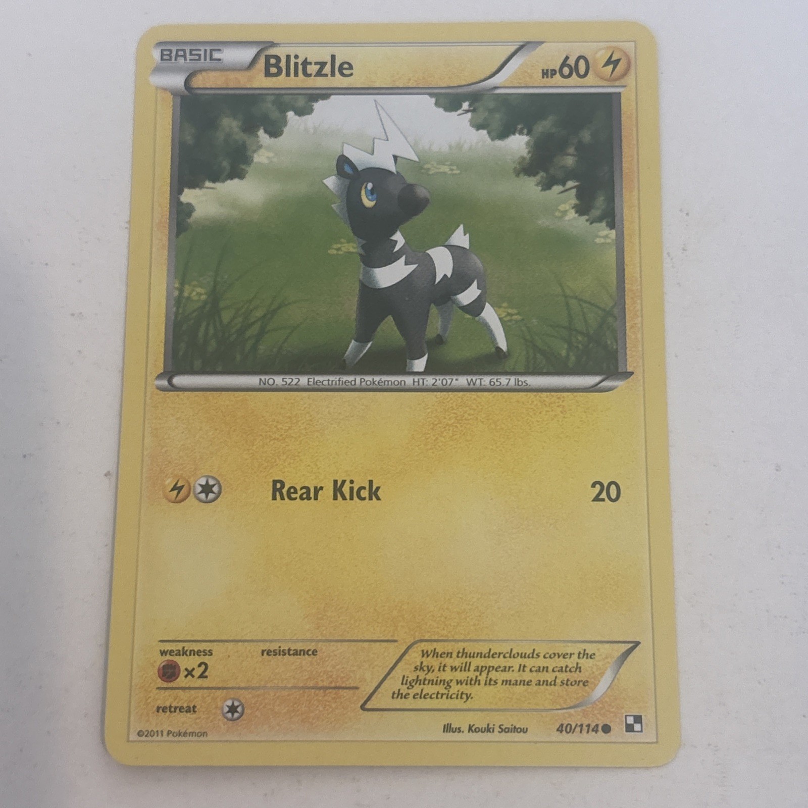 Blitzle 40/114 Regular Black & White Base Set Pokemon TCG NM