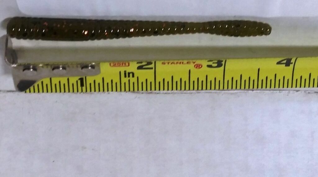 Cuore Di Drago», Lotta Al Tumore A Colpi Di Pagaia - Rubriche Volontariato, Endine Gaiano - Foto 6