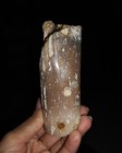 Picture 2 of 8