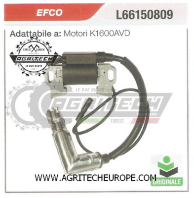 L66151488 L66150809 Electronic Coil Control Unit Tractor EFCO K1600AVD