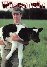 Postcard Cows Calf WI Dairyland Milk Farm Animal