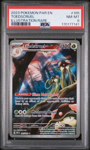 Toedscruel graded PSA 8 for sale on eBay