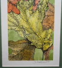 D. Prescott "Leaf Leaves" 11.5 x10 Art Print Matted Orange Green Yellow Leaf