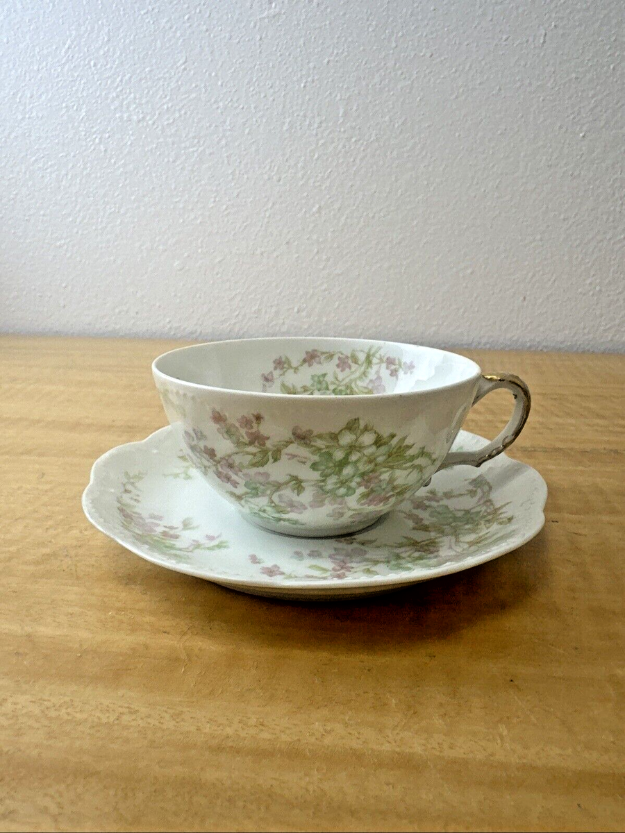 Haviland Limoges Cup & Saucer Schleiger Blue Pink Purple Flower 