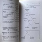 Foto 7 di 12
