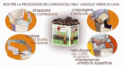 Sunrise Panetto Funghi Cardoncelli Kit Coltivazione Funghi Cardoncelli Pleutorus Eryngii Fungo Della Murgia Cardoncello Balletta Per Funghi Cardoncelli Selezionati Ballette 3 Kg (Confezione 2 Pz - Foto 10