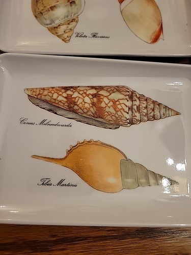 Vintage melamine melmac Sea Shell Trays set 4 RD e Import Inc Italy - Picture 6 of 7