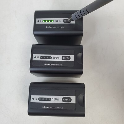 3 Genuine Panasonic VW-VBD58 Battery Pack with DE-A88 Charger OEM