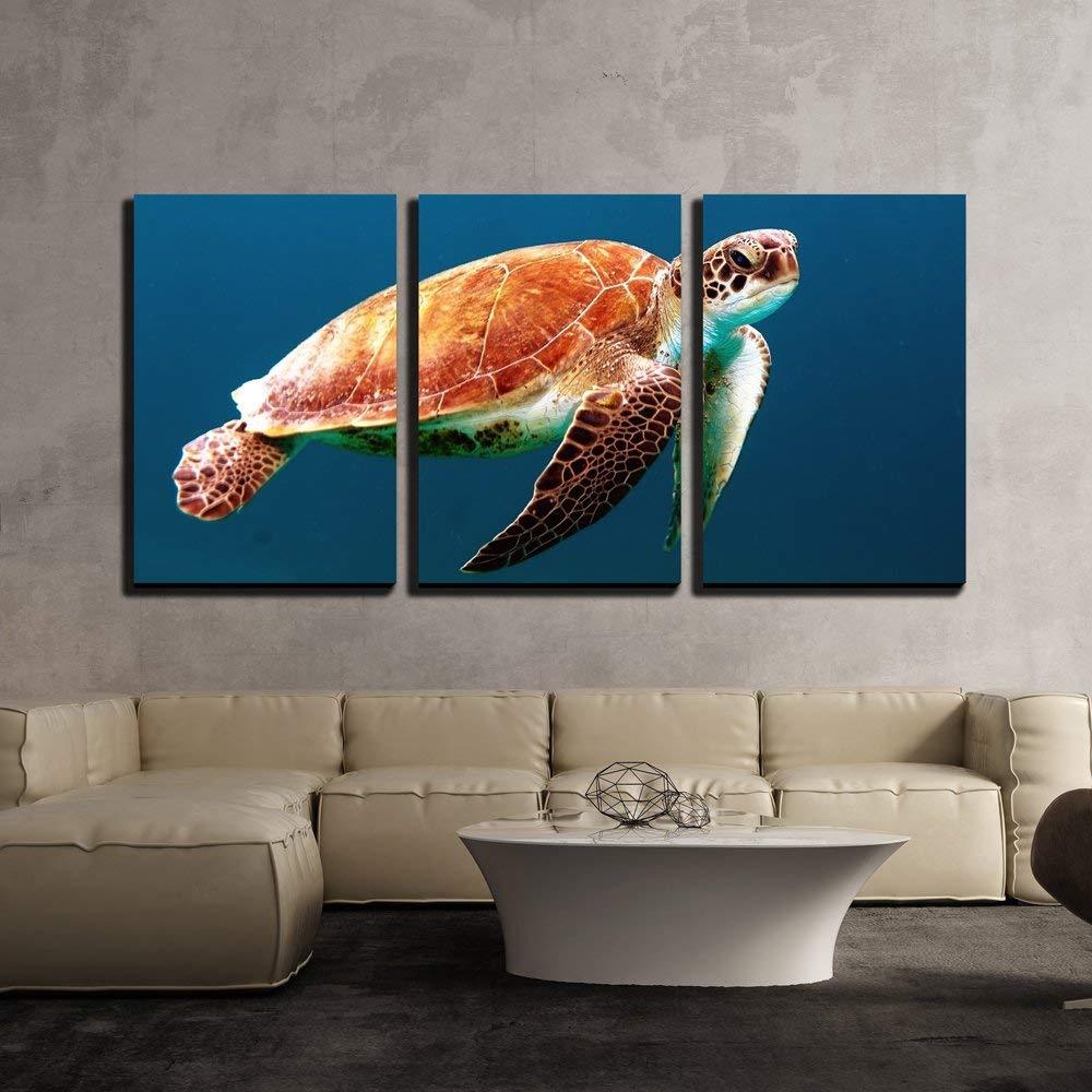 Wall26 - Sea Turtle under the Ocean - Canvas Art Wall Decor - 16"x24"x3 Panels