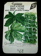 Vintage 1930s Crosman Seeds Unused Seed Packet: Japanese Hop Vine; NOS RARE