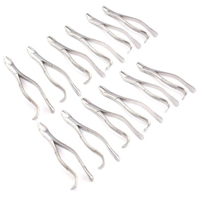 Lot Of 12 Pieces EXTRACTING FORCEPS #18R DENTAL SURGICAL INSTRUMENTS | eBay