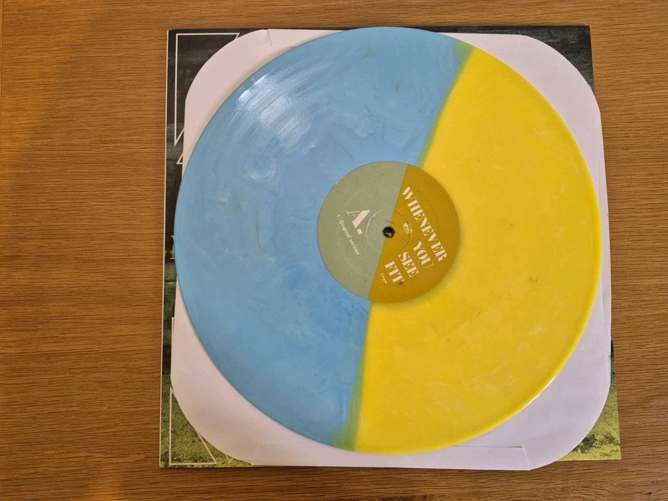 Whenever You See Fit by Modest Mouse/764 Hero (Record, 2016) - Image 2 of 2