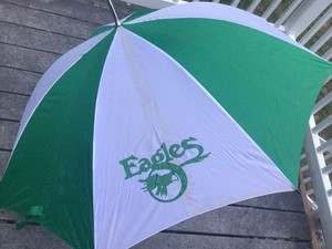 big patio umbrellas Shop Large Outdoor Umbrellas