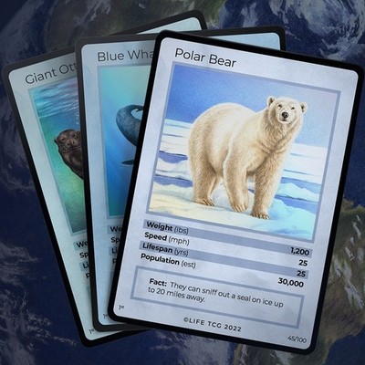 Life TCG Promo Karten - Wählen Sie Ihre Karte (Full Art/Regular)