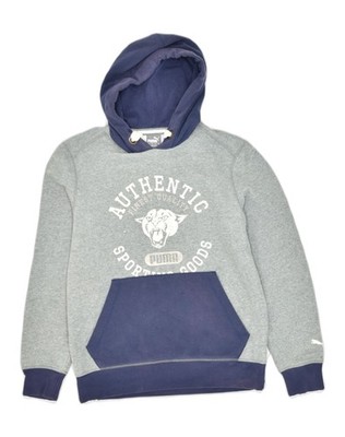 Puma Herren Graphic Hoodie Pullover Small Grau Baumwolle NO05