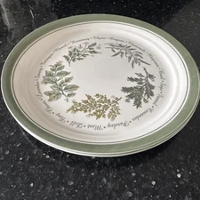 Corelle Thymeless Herbs Chamomile Dinner Plates 10 1/4” Set of 2 White Green