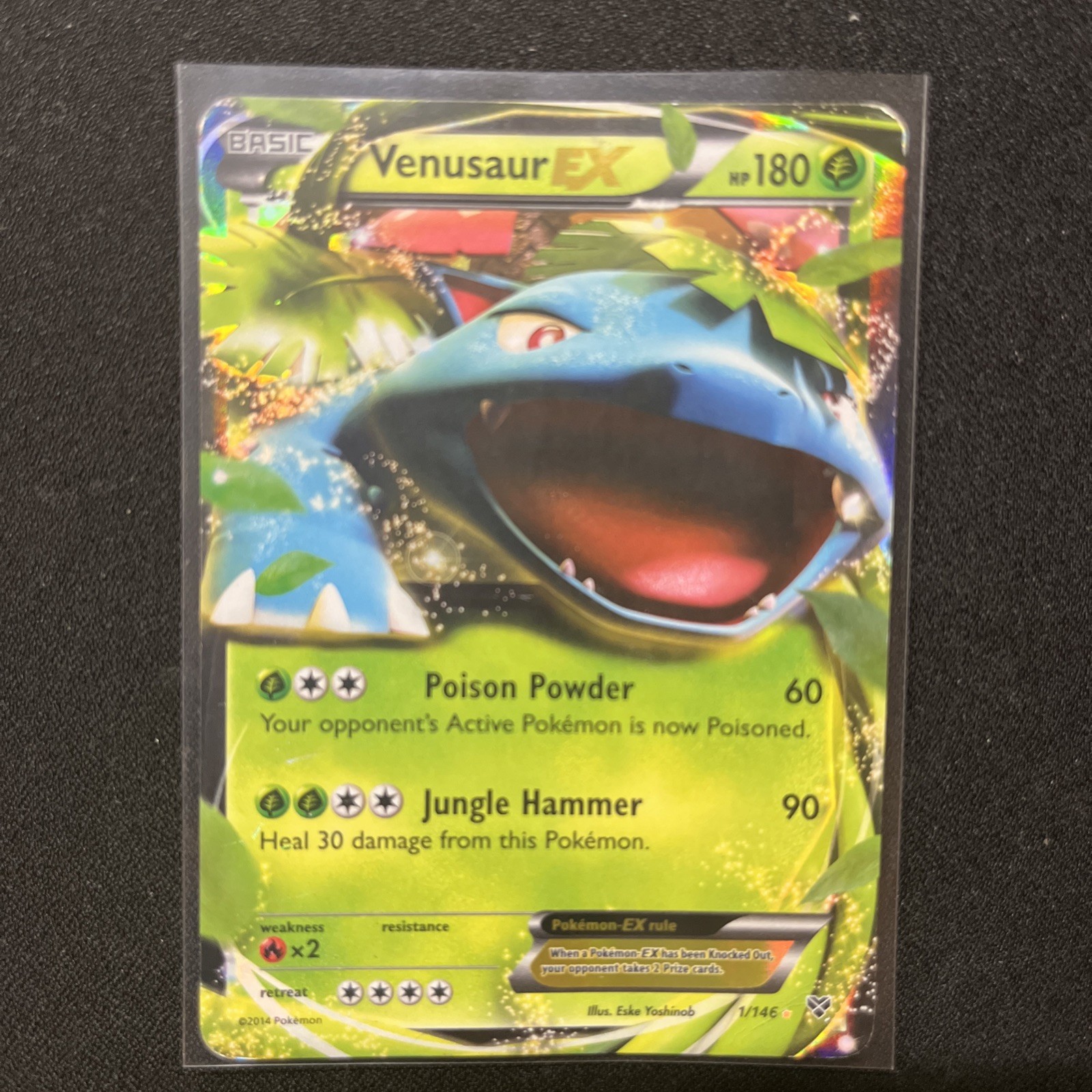 Venusaur EX 1/146 Pokémon TCG Moderately Played (MP) Holo Rare XY Base Set