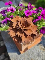 Edelrost Blume Nelke Edelrostblume Metallblume Blume Rost Metall Gartendeko