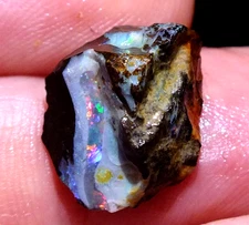 Boulder Opal Gem Rough 7.95 carats Top Electric Red Blue fires