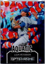 2025 Leaf Liam Peterson Optichrome Baseball Base 1/1