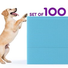 Disposable Puppy Pee Pads 22x22 Inch, 100 Count Training Pads for Dogs, Super