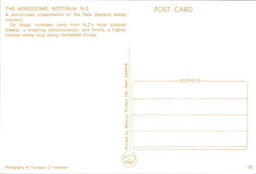 Tarjeta postal de The Agrodome Sheep and Ram exhibe Rotorua Nueva Zelanda - Imagen 2 de 2