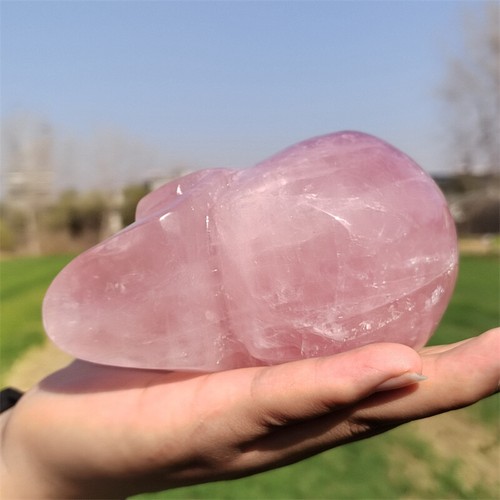 2.17LB Natural Rose Quartz Carved Skull Quartz Crystal Skull Decor Reiki Gift - Bild 3 von 12