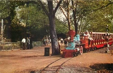 FOREST PARK ST LOUIS MISSOURI ZOO LINE MINIATURE RAILROAD VINTAGE POSTCARD VIEW