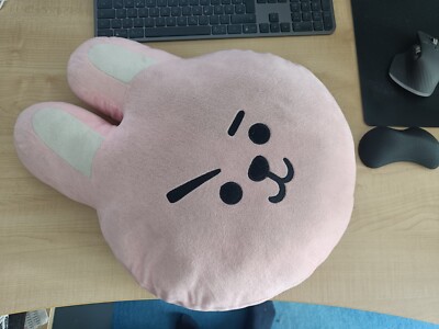 BTS BT21 Aurora Kissen Cooky Plüschkissen Plüschtier Kuscheltier Geschenk