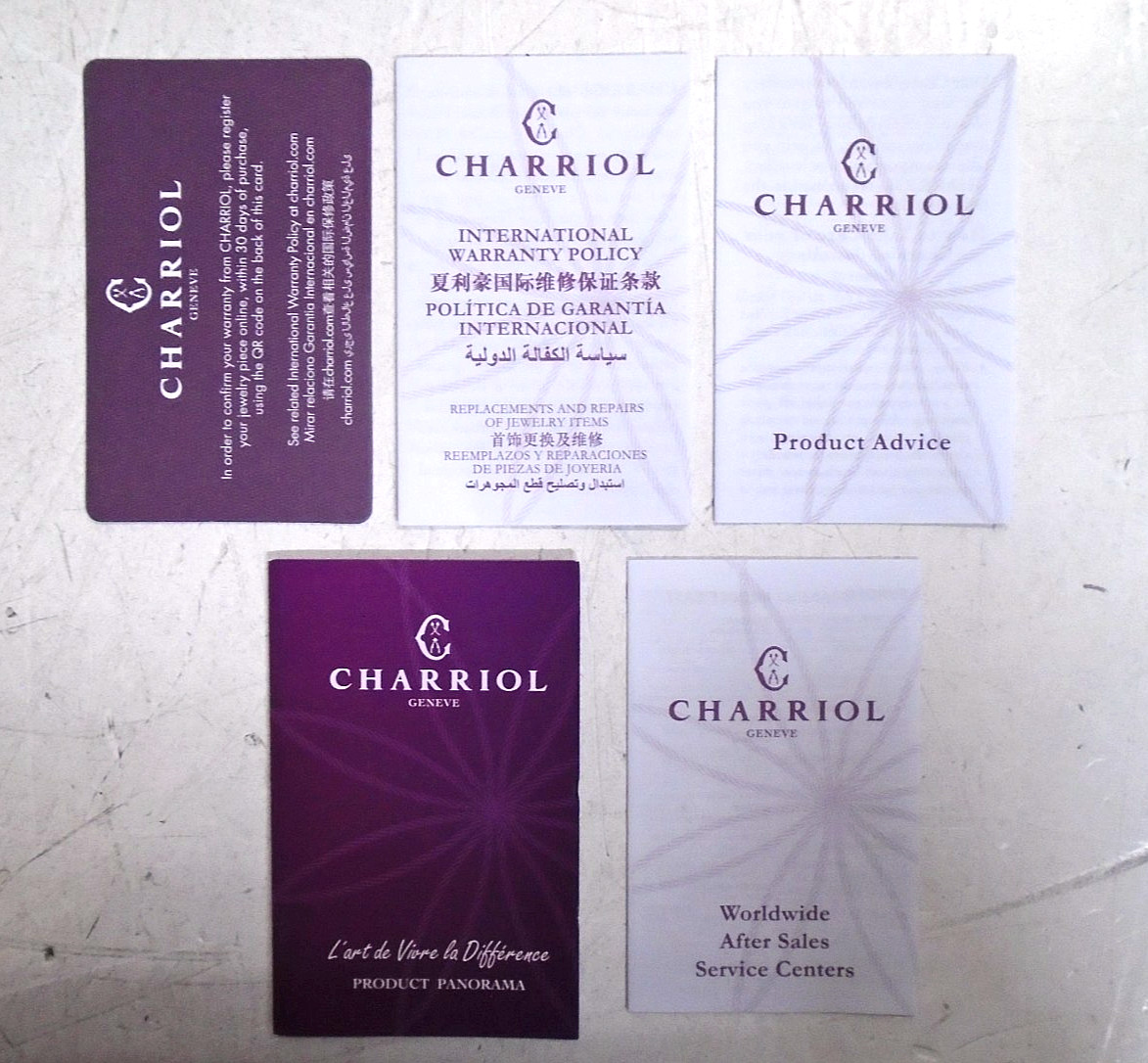 Charriol Forever Eternity Thin Screws Bracelet 2x 1mm Stainless Steel PVD Cables