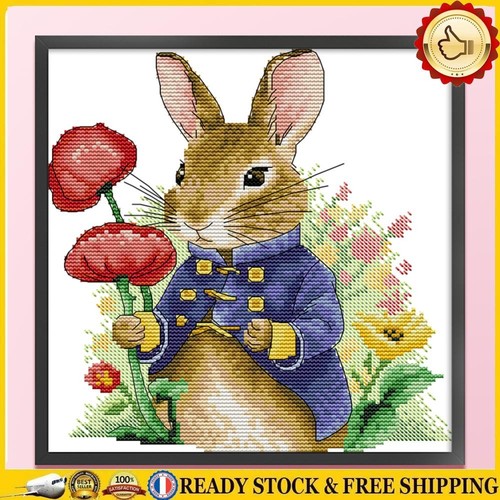 Pierre lapin fait main, point de croix Beatrix Potter, broderie faite main, prête à encadrer - France