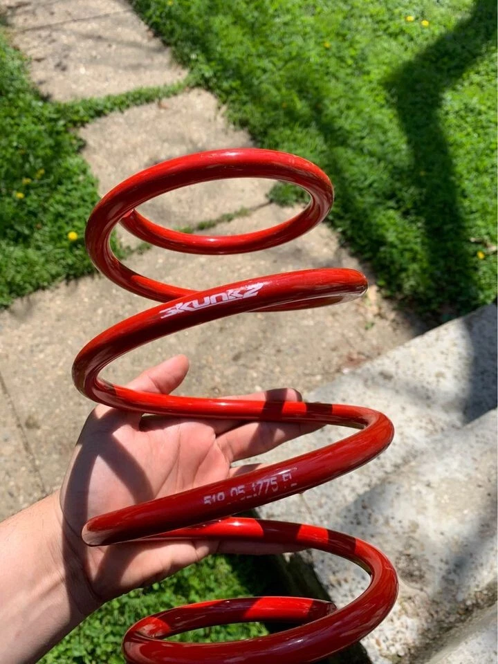 NUEVO muelle rebajador Skunk2 519-05-1585 para Honda Civic Foto 4 de 4