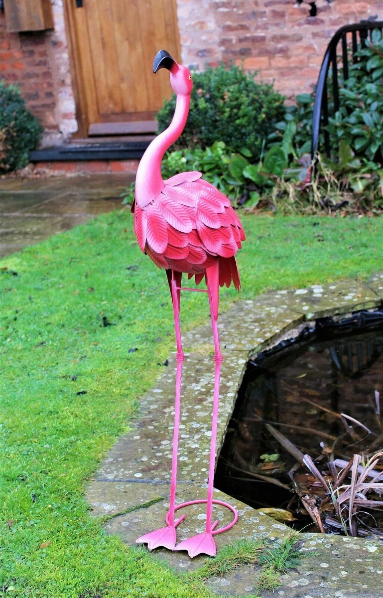 Pink Flamingo