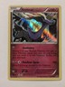 Xerneas 81/114 Steam Siege Holo Rare Pokemon TCG NM 