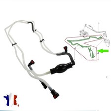 Carburateur Renault KANGOO