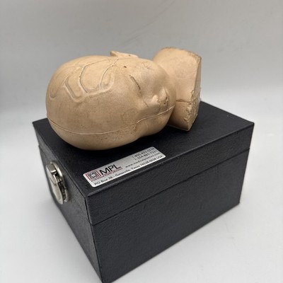 Medical Plastics Laboratory Pediatric Head IV  Trainer Anatomical Model